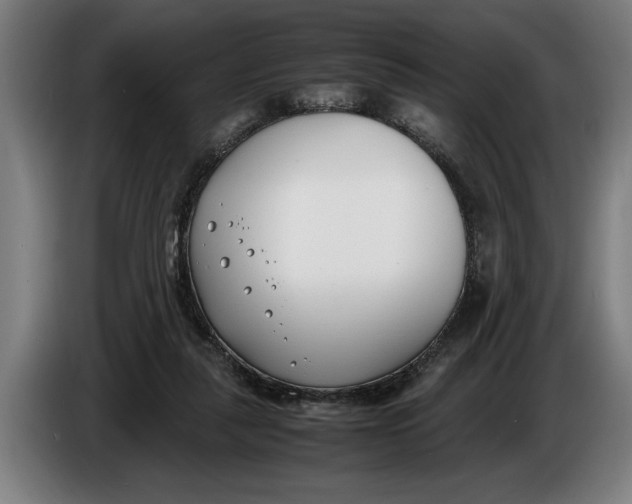 X0000086310259200704202008