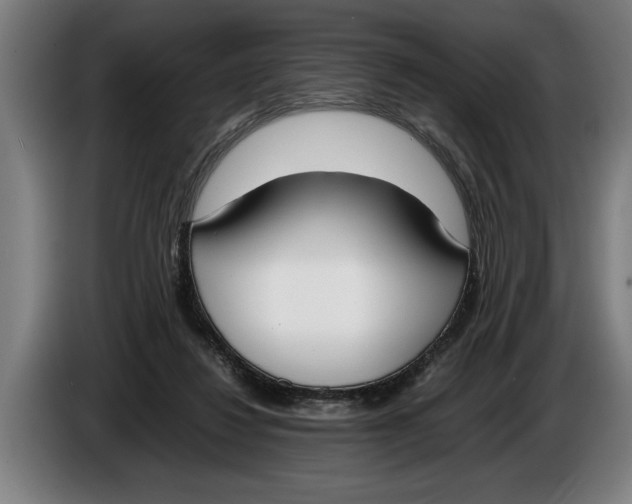 X0000086310260200704202008