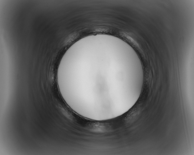 X0000086310261200704202008