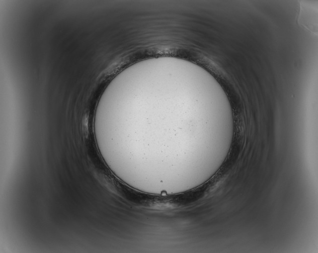 X0000086310262200704202008