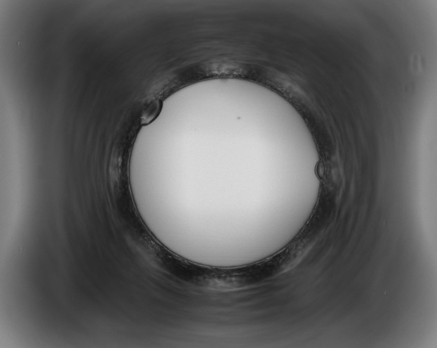 X0000086310263200704202008