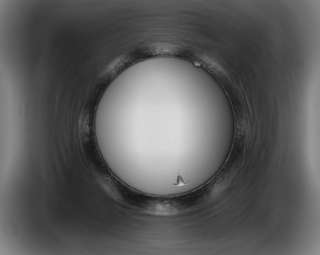 X0000086310264200704202008