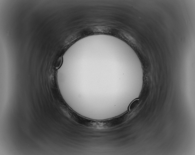 X0000086310265200704202008