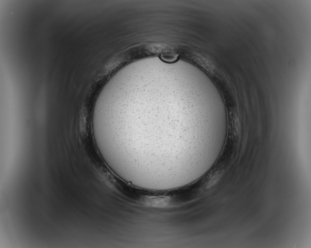 X0000086310266200704202008