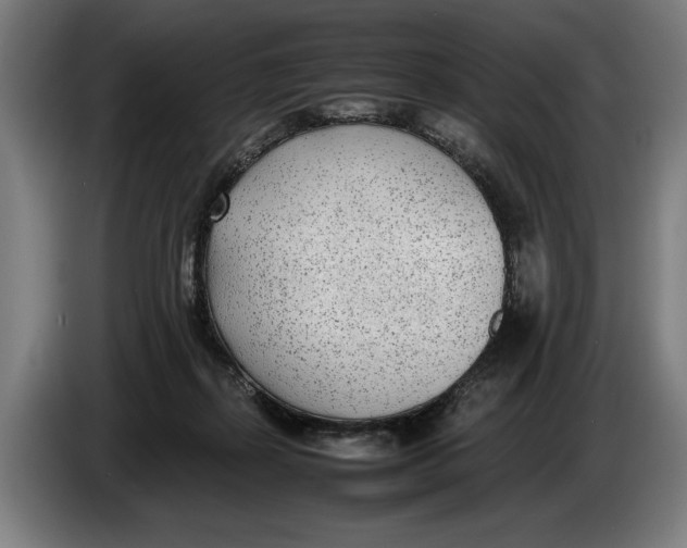 X0000086310267200704202008