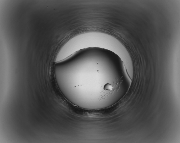 X0000086310268200704202008