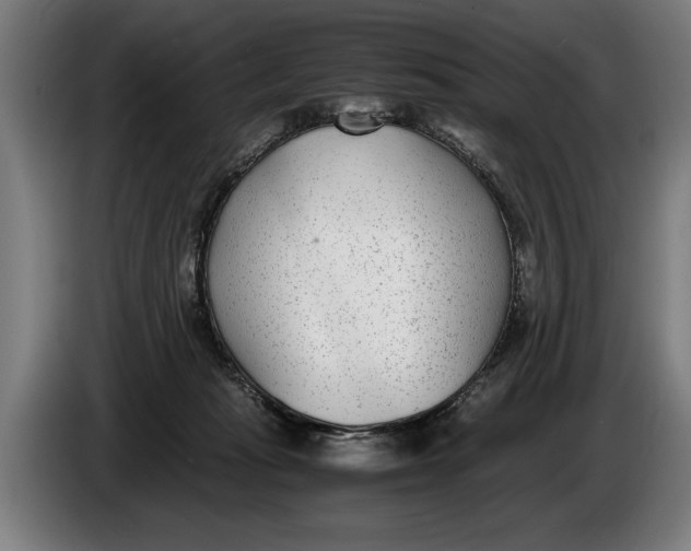 X0000086310269200704202008