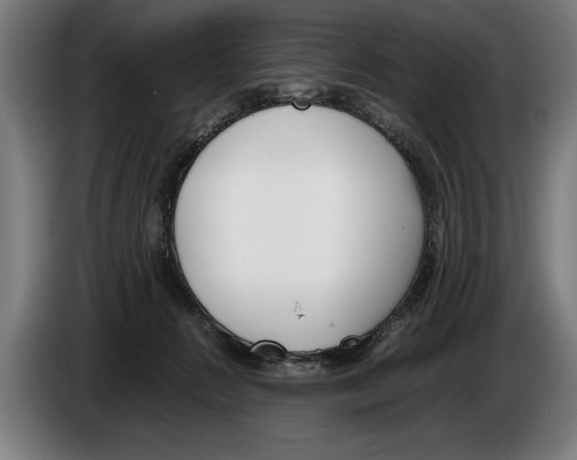 X0000086310270200704202008