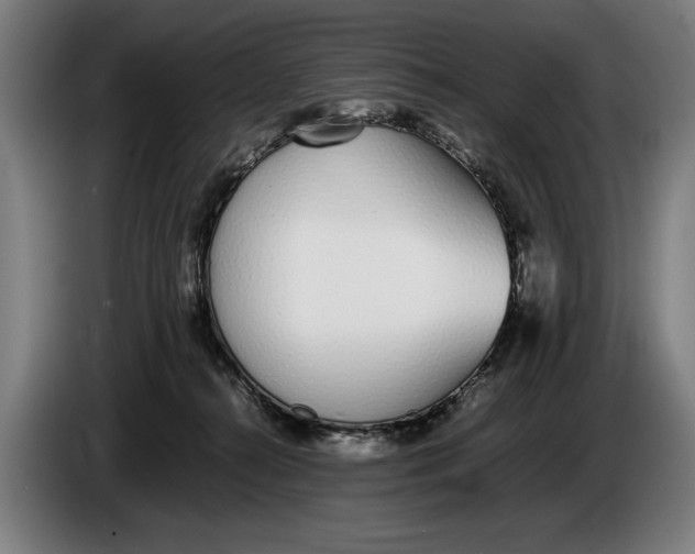 X0000086310272200704202008