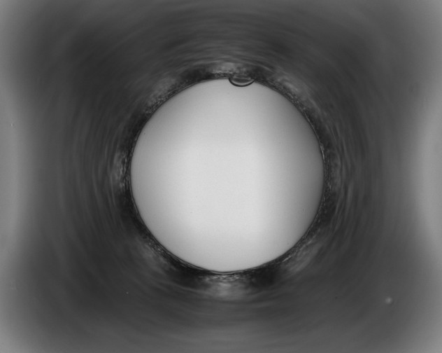 X0000086310273200704202008