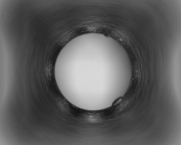 X0000086310275200704202008