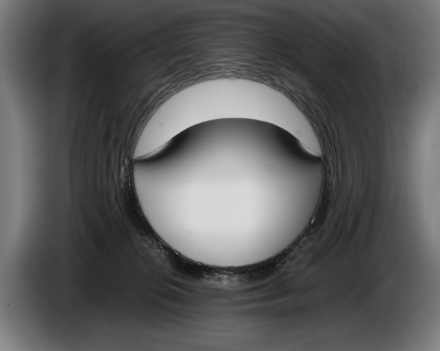 X0000086310276200704202008