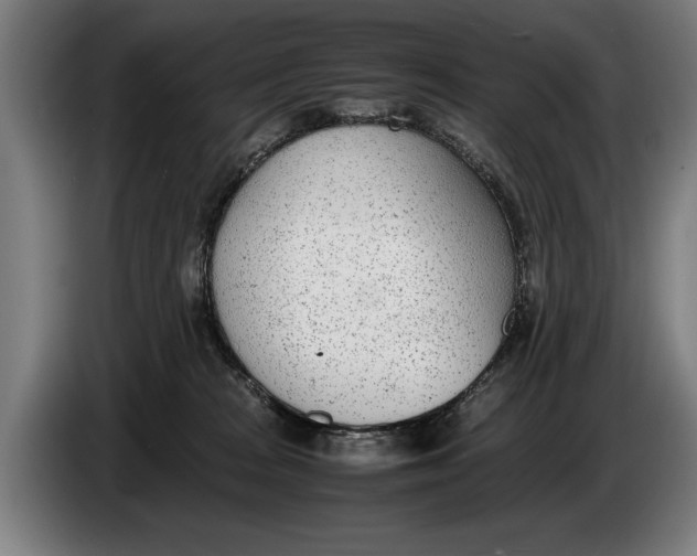 X0000086310277200704202008