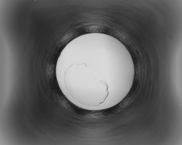 X0000086310278200704202008