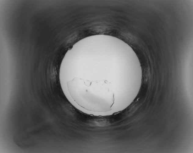 X0000086310279200704202008