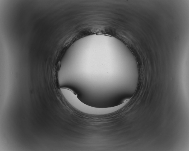 X0000086310280200704202008