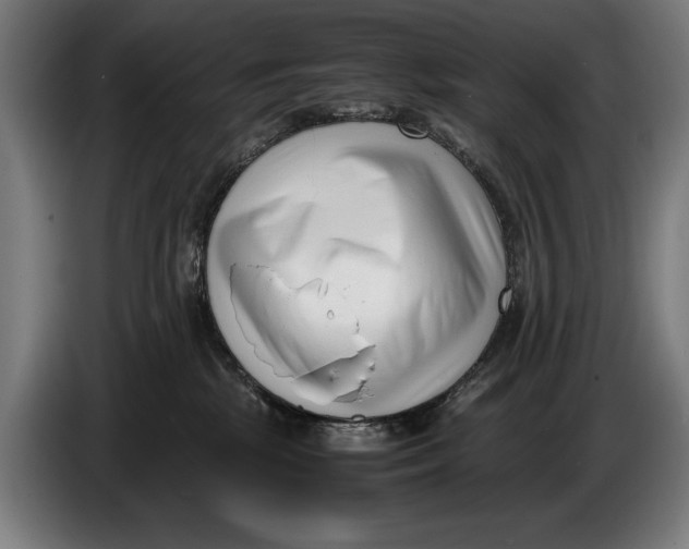 X0000086310281200704202008