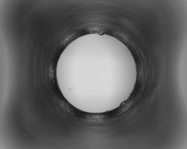 X0000086310282200704202008