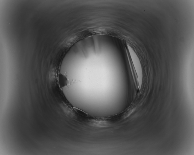 X0000086310284200704202008