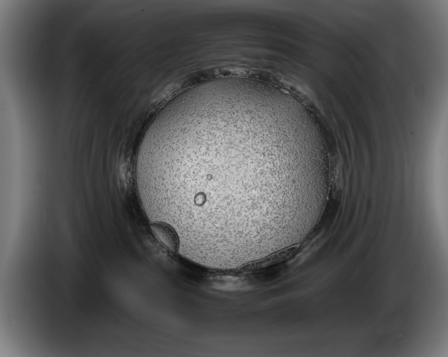 X0000086310285200704202008