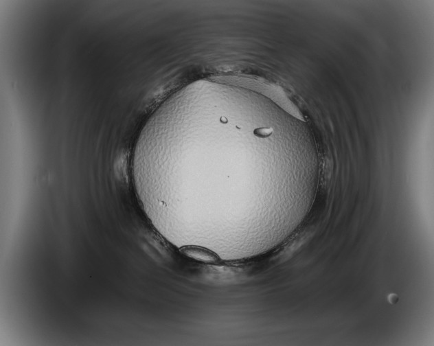 X0000086310286200704202008