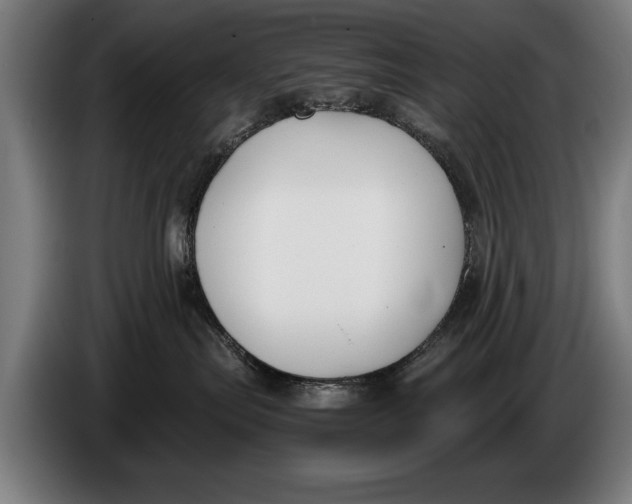 X0000086310287200704202008