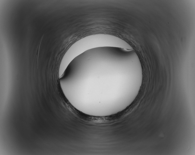 X0000086310288200704202008