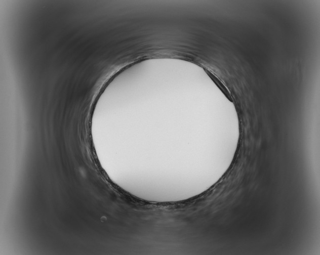 X0000086310289200704202008