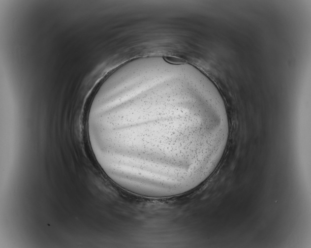 X0000086310290200704202008