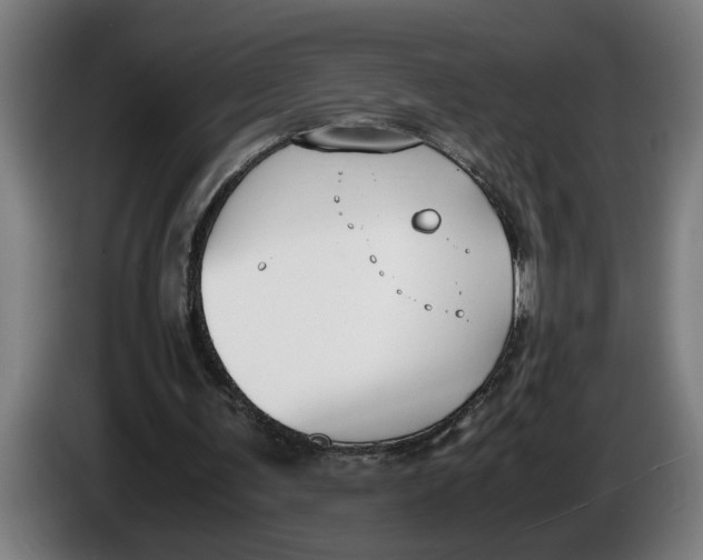 X0000086310291200704202008