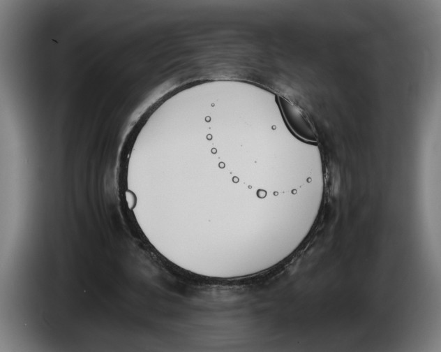 X0000086310292200704202008