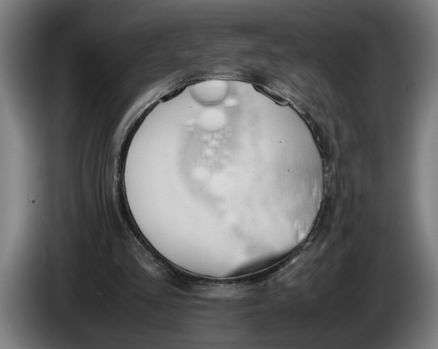 X0000086310293200704202008