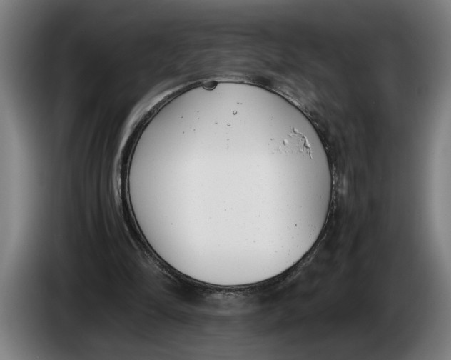 X0000086310294200704202008