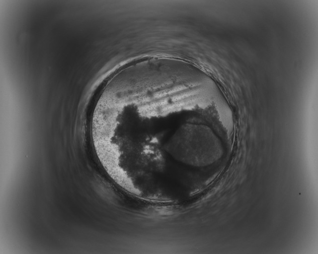 X0000086310295200704202008