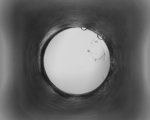 X0000086310296200704202008