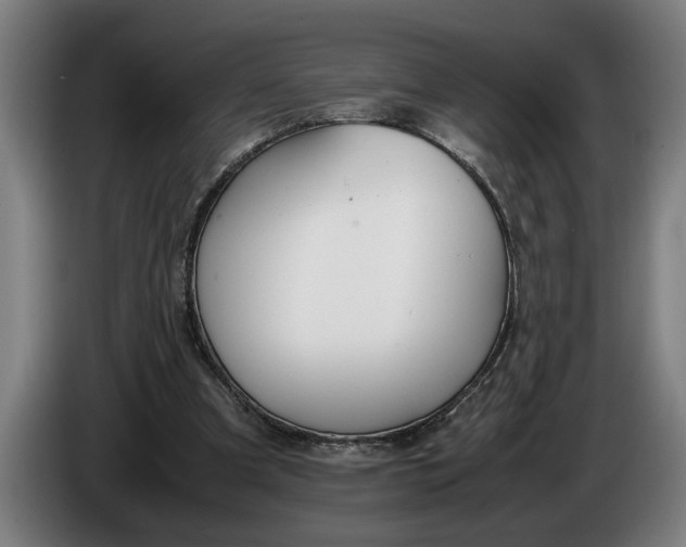 X0000086310297200704202008