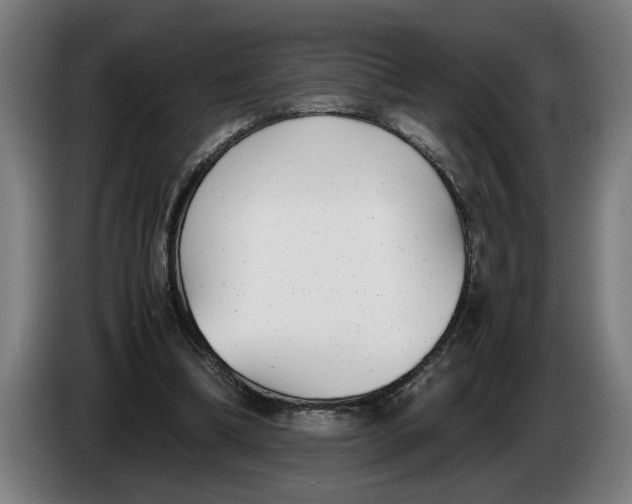 X0000086310298200704202007