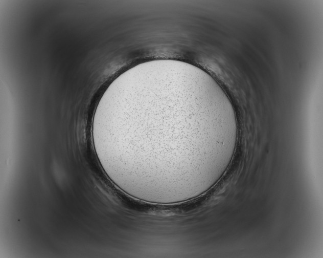 X0000086310299200704202007