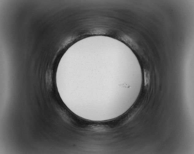 X0000086310300200704202007