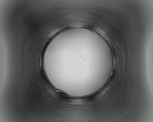 X0000086310301200704202007