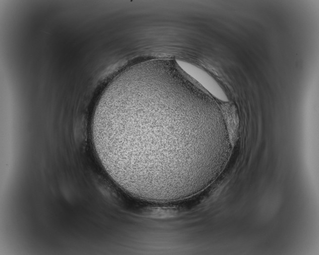 X0000086310303200704202007