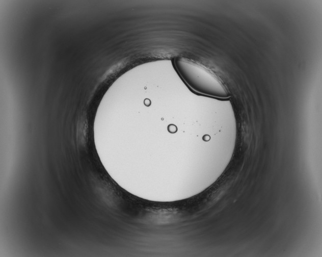 X0000086310304200704202007