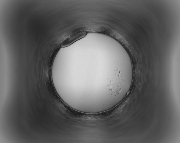 X0000086310305200704202007