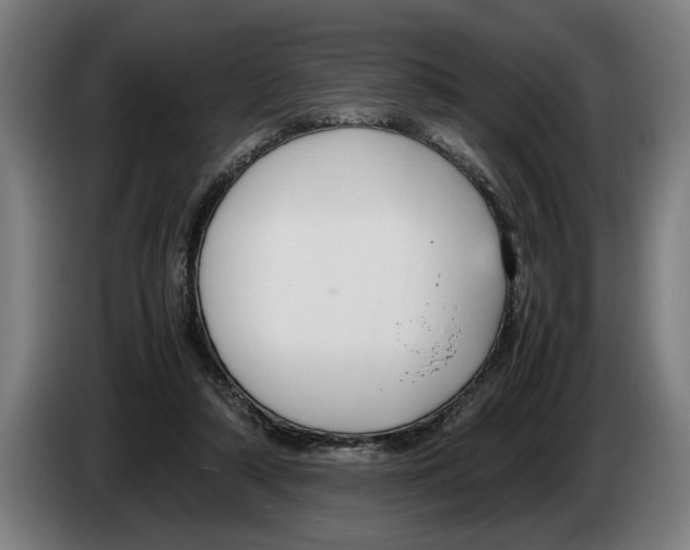 X0000086310306200704202007