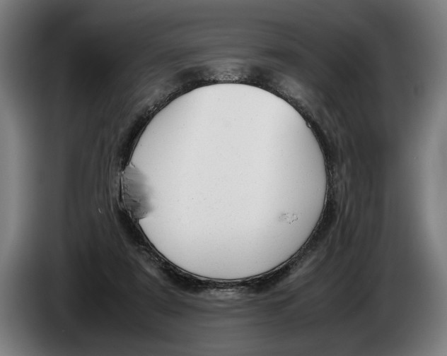 X0000086310307200704202007