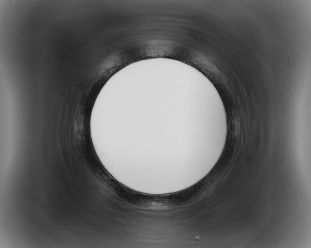 X0000086310308200704202007