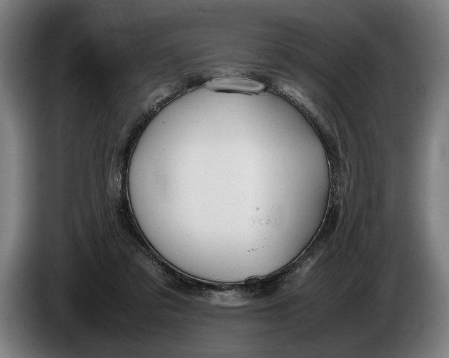 X0000086310309200704202007