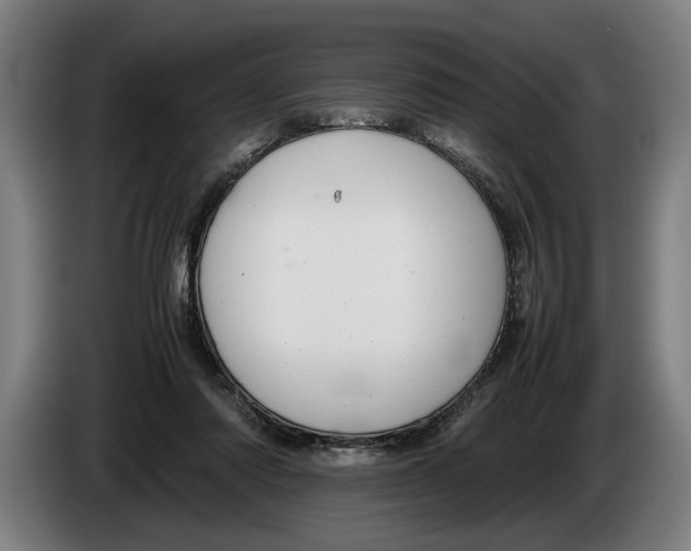 X0000086310310200704202007