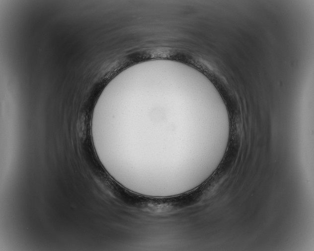 X0000086310311200704202007