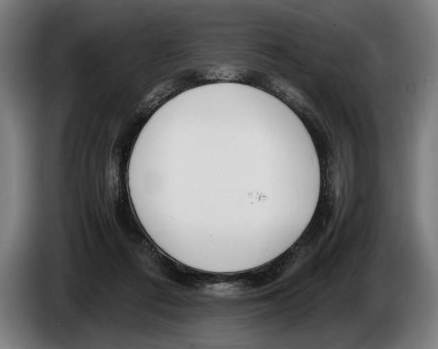 X0000086310312200704202007